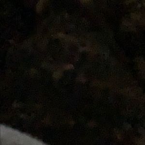 Meet your Posher, Ashlee